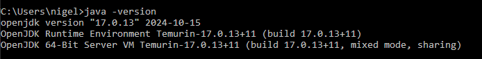 java version on windows